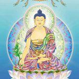 Featured image of post 【二课合解】十小咒（六）：药师灌顶真言