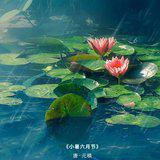 Featured image of post 【佛佑中华 国泰民安】今日小暑，正好念佛：净中念佛常安乐，句句弥陀分外明！