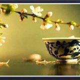 Featured image of post 佛经中的人生智慧：前行七步，却行七步