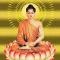 【佛经语录】《华严经》中有关回向的经文锦集之六：为欲广度一切众生！