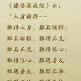 Featured image of post 【佛经语录】我们得“人身”了吗？