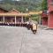 【剪影】清明将至，源本兴思—2019灵石律寺两序大众祭祖礼塔