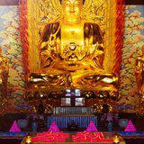 Featured image of post 【孝亲报恩专题法语之六】祖师开示：孝顺二事，我们做到了吗？