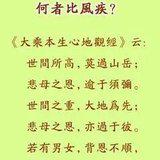 Featured image of post 【孝亲报恩法语】何者比山高？何者比地重？何者比风疾？