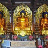 Featured image of post 【学佛行仪之入寺院二十八】大雄宝殿的三尊佛您认识吗？（三）