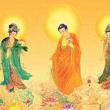 Featured image of post 【学佛行仪之敬佛第一】什么是回向？拜佛后应如何回向?（一）