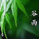 Featured image of post 【彼岸花开】今日谷雨劝念佛：谷雨持名似疾雷，一声佛号扫尘埃！