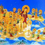 Featured image of post 【彼岸花开】《大宝积经》：发十种心，当生极乐！（一）