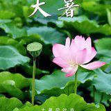 Featured image of post 【彼岸花开】大暑劝念佛：大暑流金似火攻，毫无暖气到心中！