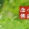 【彼岸花开】小满劝念佛：小满持名意味长，一尘不立最清凉！