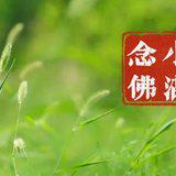 Featured image of post 【彼岸花开】小满劝念佛：小满持名意味长，一尘不立最清凉！