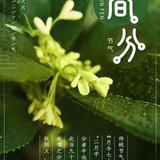 Featured image of post 【彼岸花开】春分劝念佛：春分念佛正相宜，时到其中莫远离！