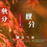 Featured image of post 【彼岸花开】真嵩禅师：秋分念佛莫贪眠, 一句弥陀信要坚！