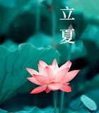 Featured image of post 【彼岸花开】立夏劝念佛：立夏清和念佛忙，弥陀句句自承当！