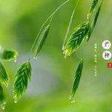 Featured image of post 【彼岸花开】芒种劝念佛：娑婆岁岁皆劳力，净土时时最吉祥！