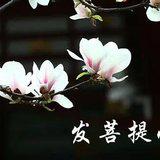 Featured image of post 【念佛法语二十三】弘一大师：修净土宗的头等大事是什么？（一）