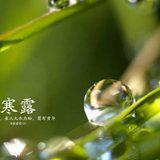 Featured image of post 【念佛法语】寒露念佛偈：单念弥陀妄自稀！
