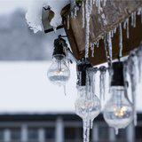 Featured image of post 【念佛法语】小雪劝念佛：深深念句弥陀佛，浅浅能归净土栖！
