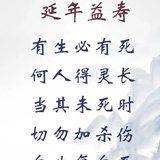 Featured image of post 【慈善护生】万物尽天年，盛世之嘉祥！
