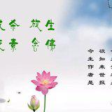 Featured image of post 【戒杀放生】莲池大师：遇到这七种场合，请勿杀生！（二）