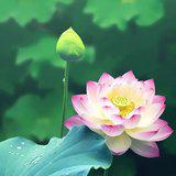 Featured image of post 【戒香普熏】 持净戒者，为第一、最高、最上！