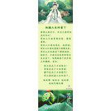 Featured image of post 把握人生的当下
