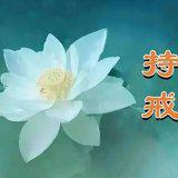Featured image of post 【持戒法语】《佛说大乘戒经》：戒为最上庄严，戒为欢喜胜因！