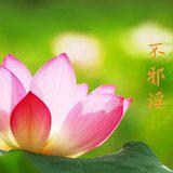 Featured image of post 【持戒法语50】《十善业道经》：不邪淫获四种善果，一种相好！