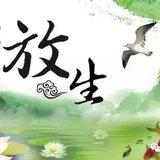 Featured image of post 【放生须知】懂得这一放生须知，功德胜于普通放生百倍！