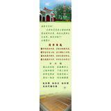 Featured image of post 清凉自在