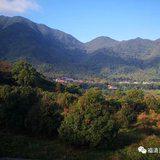 Featured image of post 【灵石剪影】慎终追远，策勉后学——灵石律寺全体师僧礼塔祭祖