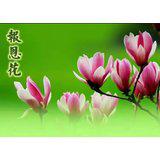 Featured image of post 父亲节：拿什么报答您 ，我的双亲？