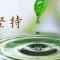 【甘露法语】净界法师：障碍最怕一件事情，就是你的坚持！