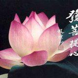 Featured image of post 【甘露法语】法藏法师：发心为众，成就福报！