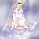 Featured image of post 【甘露法语】法藏法师：如何看待并调理疾病？