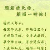 Featured image of post 【祖师法语】愿君读此诗，烦恼一时除