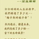 Featured image of post 【禅诗一首】石屋禅师：梅子熟时栀子香