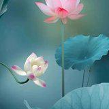 Featured image of post 【般若明灯】法藏法师：初闻佛法听不懂，怎么办？