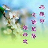 Featured image of post 【节日专题法语】母亲节，念佛万声报母恩！