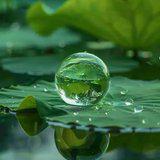 Featured image of post 【菩提愿海】《华严经》：得菩提心珠，能清一切烦恼垢浊！