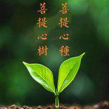 Featured image of post 【菩提愿海】植树节，播菩提心种，植菩提心树！