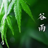 Featured image of post 谷雨劝念佛：谷雨持名似疾雷，一声佛号扫尘埃！