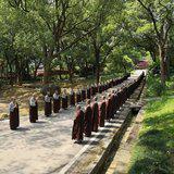 Featured image of post 【追思剪影】迎请住持和尚灵骨回寺仪式于8月2日上午举行！